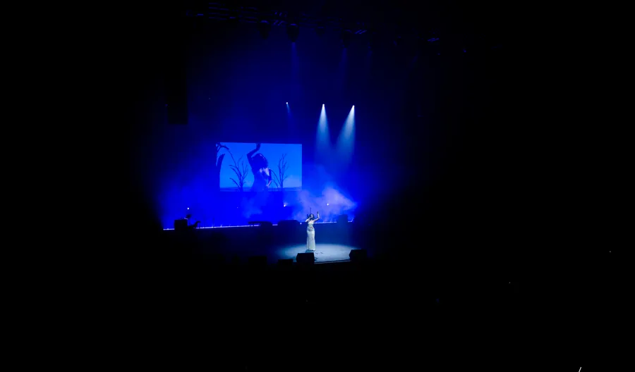 Ragheb Alama live in Sydney, photo 23